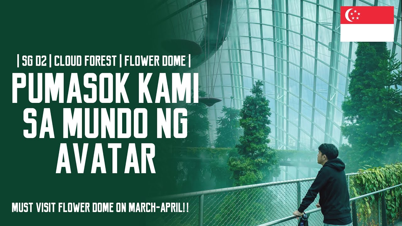 2023 Singapore Travel Day 2: Cloud Forest + Flower Dome + Observation Deck + Water Show