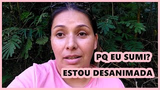 POR QUE EU SUMI DO CANAL / NÃO VOU MAIS POSTAR VIDEOS?