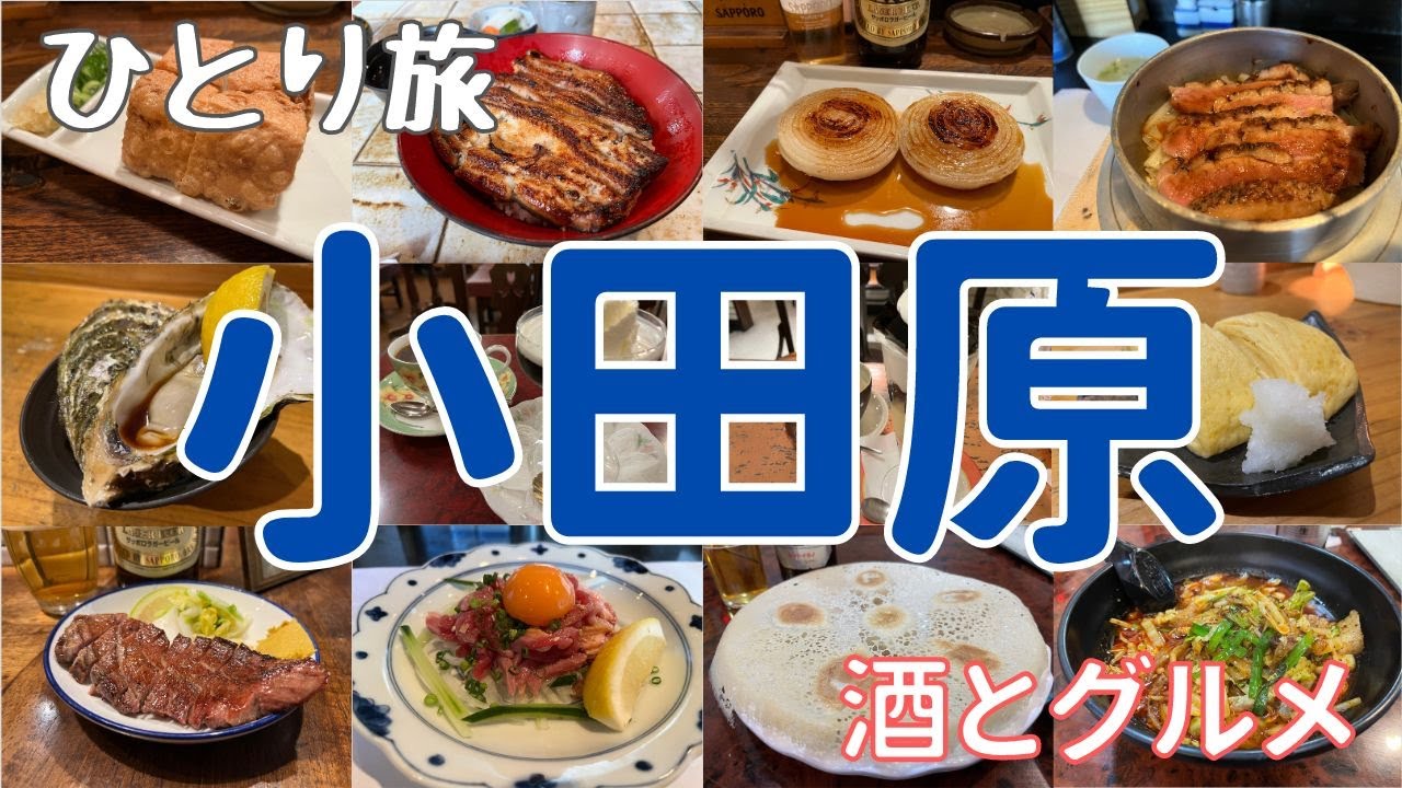 小田原のグルメを食べ尽くせ！1泊2日のひとり旅