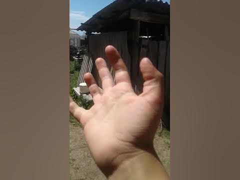 Ариет - YouTube
