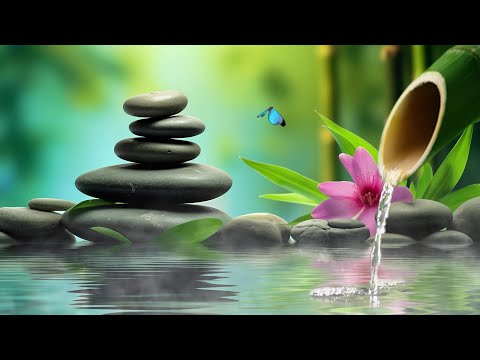 Relaxing Sleep Music + Insomnia: Bamboo, Stress Relief, Deep Sleep, Relax & Therapy Music 🌿v