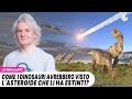 Come  i DINOSAURI avrebbero visto l'ASTEROIDE che li ha ESTINTI?