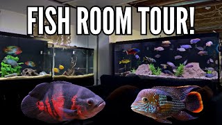 15 Cichlid Tanks in One Home! Incredible Fish Room Tour