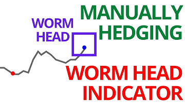 Manually Hedging Worm Head Indicator