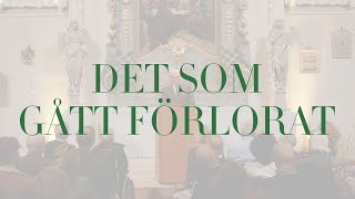 Det som gått förlorat - om allt vi tappat bort på vägen till en perfekt värld