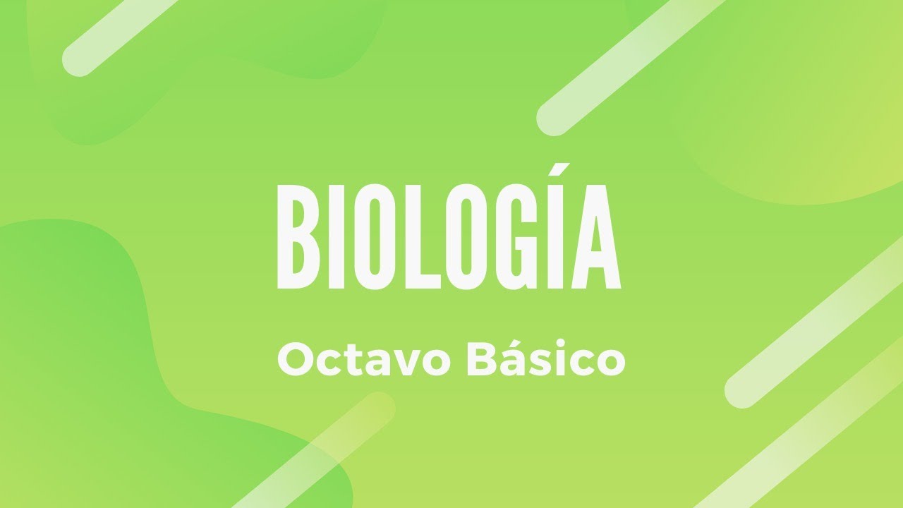 BIOLOGÍA | Sistema Digestivo I 8° Básico | Clase N°2