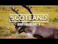 Wild Reindeer Experience in Scotland! | Travel Vlog