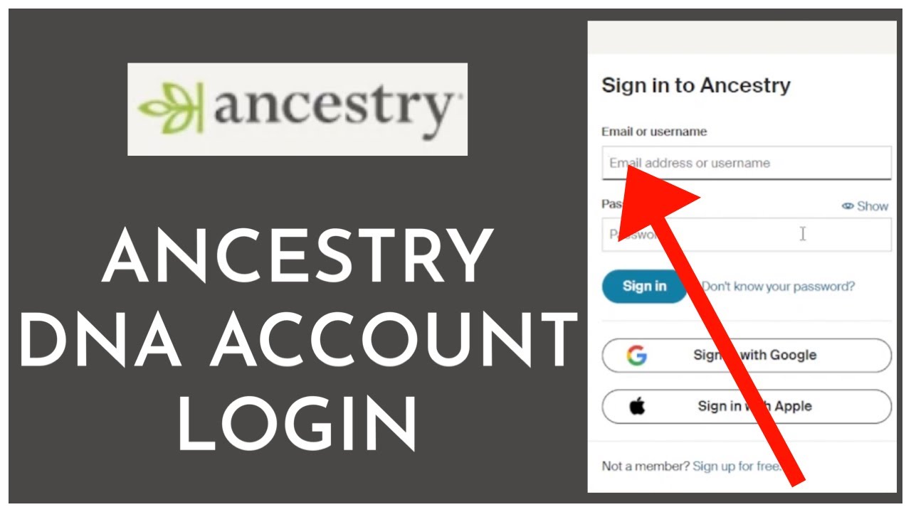 How To Login To Your Ancestry DNA Account 2023 YouTube