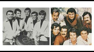 The T-Bones - No Matter What Shape / Herb Alpert's Tijuana Brass - The Mexican Shuffle - stereo