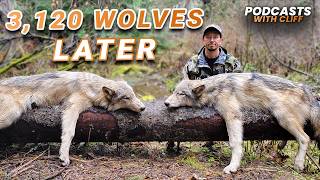 Celebrity 3,120 Wolves Later – The TRUTH About Wolf Control Net Worth