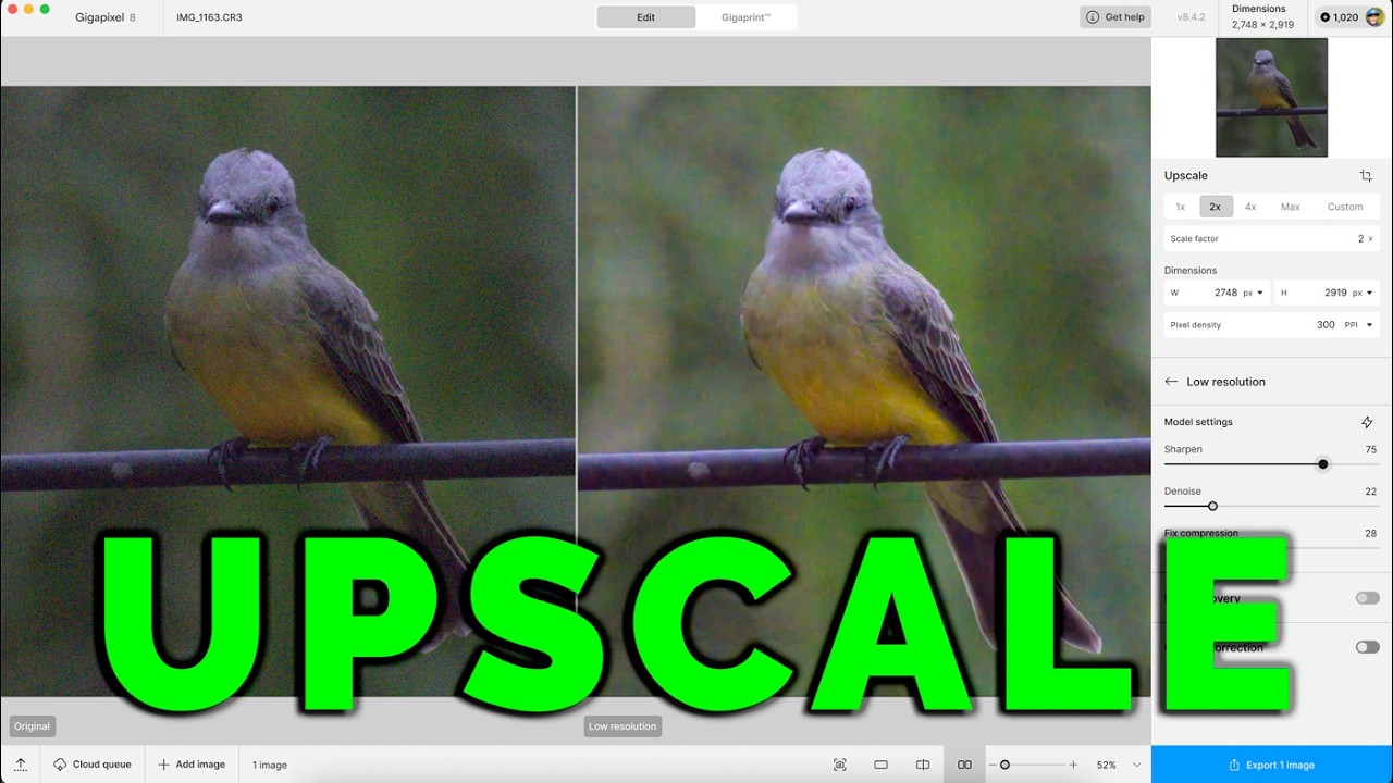 Topaz Gigapixel AI Review | My Honest Results
