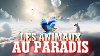 WILL ANIMALS GO TO HEAVEN?