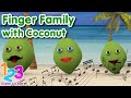 Bernyanyi Lagu Inggris Finger Family with Coconut | 123 English For Kids | Kartun Anak Channel