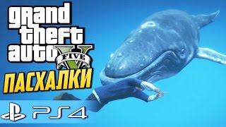 GTA 5 Пасхалки и секреты (PS4) - Гигантский синий кит! GTA 5 Пасхалки и секреты (PS4) - Гигантский синий кит!
