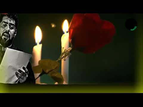 صالح الدرازي إمامي ياربيع القلب أصرخ يـا علي إمامي كيف ما ألقاك شمس يا علي 