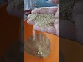 كبة حيلي ع الطريقة الجنوبية كبة حيلي ع الطريقة الجنوبية