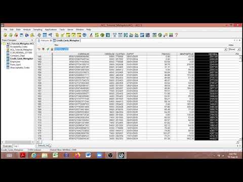 Chapter 4 - Begin Your Analysis With ACL - YouTube