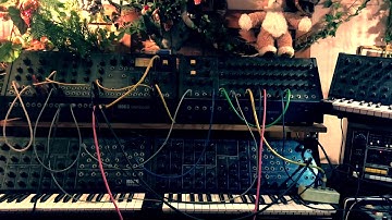 Minimal Wave, old school, Korg MS-20,50,SQ10,-Synthesizer performance, live in the studio!