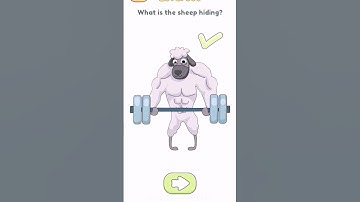 dop2 What is the sheep hiding level 306 ha hard