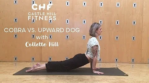Collette Hill Cobra Upward Dog Difference