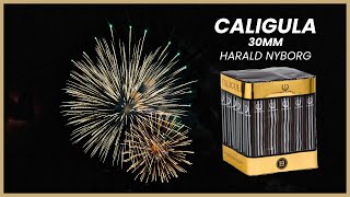 Caligula Batteri Fra Harald Nyborg