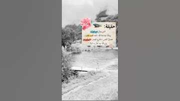 تلاوة لا توصف | الشيخ انيس الحجيلي @Dr.Anis_Al-Hujaili