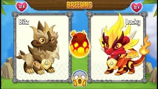NEW BREEDING: Pure Terra Dragon & Pure Flame Dragon [EXCLUSIVE BREE...