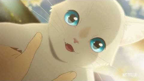 本予告『泣きたい私は猫をかぶる』【2020年6月18日(木)Netflixより全世界独占配信スタート！】