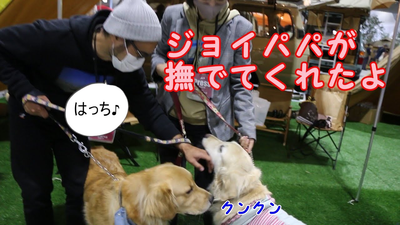 大人気 ジョイ家ブースの大行列に並んだゴールデンレトリバーのはっち Youtube
