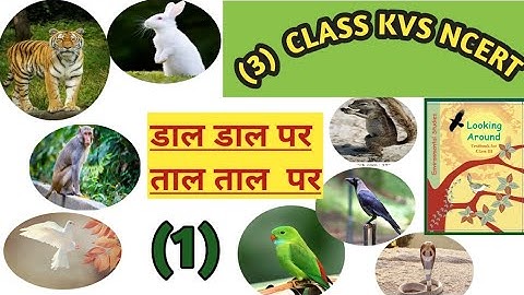 KVS NCERT CLASS (3) CHAPTER ( 1 )(डाल डाल पर - ताल ताल पर)। EVS NCERT CLASS (3) TO (5) SOLUTION।