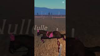 🤩🤩 #horse #equestrianjourney #roblox #slomo #edit