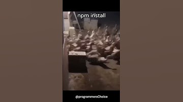 When we run npm install command 😂