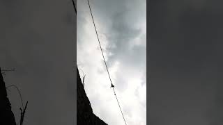 Amazing weather and swet weather in Pakistan weather forecast 🫰🥰