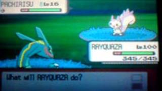 shiny pachirisu with pokeradar