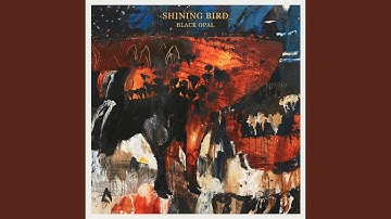 Thumbnail of Morning Light