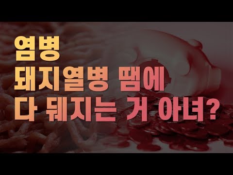[라이언스탁] 돼지는 아무 잘못이 없다