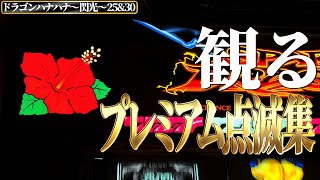 The Premium HANAHANA プレハナ　ハナハナ プレミアムハナハナ-30｜公式サイト