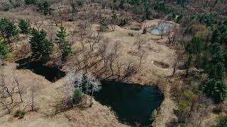 Wisconsin Dells area 262 Acre Recreational, Building and Hunting Property