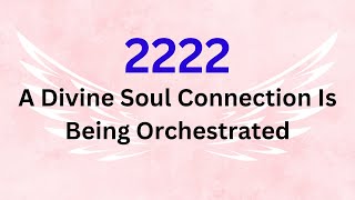 2222 Angel Number Meaning | A Divine Soul Connection Is Being Orchestrated | Watch Now