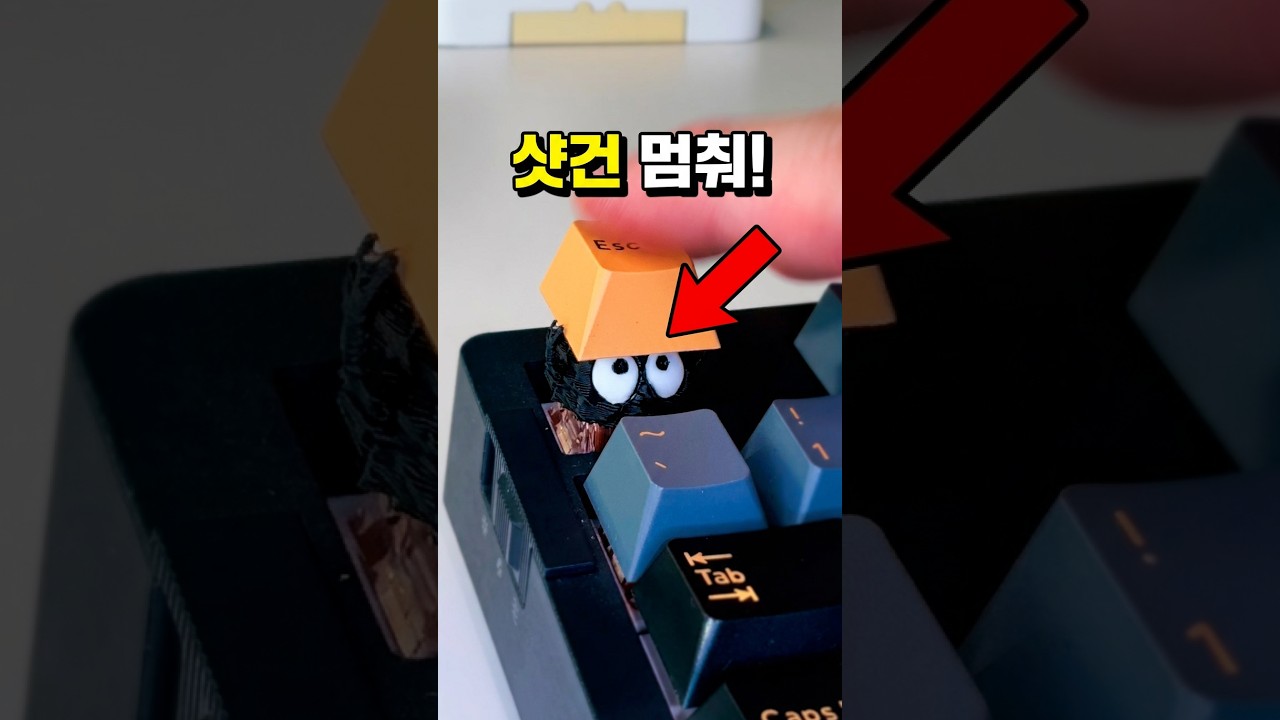 키보드 샷건 치는 습관 1초 만에 고치는 법 ㅋㅋㅋ #호기심 #실험 #키보드 썸네일