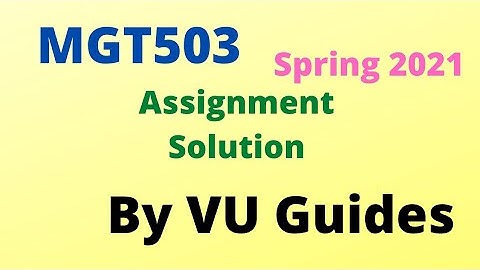 MGT503 Assignment 1 Spring 2021 Solution // VU Guides