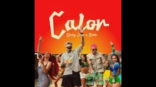 Nicky Jam Ft Beele - Calor