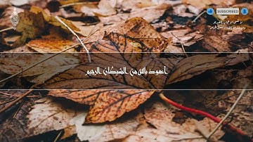 صوته ينسيك الدنيا لعذوبة صوت القارئ !! تلاوة هادئة || سورة طه - كاملة - القارئ انس محمد