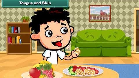 CBSE Class 04 EVS Science SOCIAL SCIENCE Health And Hygiene