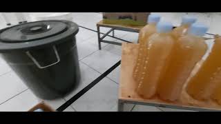 karbol wangi