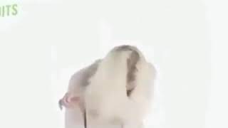 Hapşırmak Da Terbiye Ister.