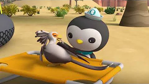 octonauts above and beyond season 5 strange sickness English full episode
