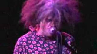 MELVINS - Adolescent Wet Dream (Pussy Galore cover @ House Blues, 2003)