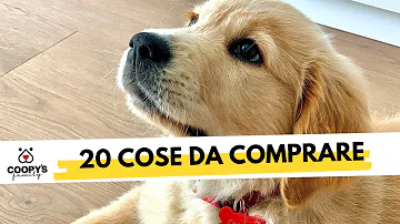 Cosa ti danno i cani?
