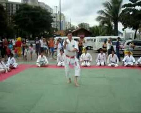 Wong Karate-Do - Shorin-Ryu Shin shu kan -Koryu Pa...